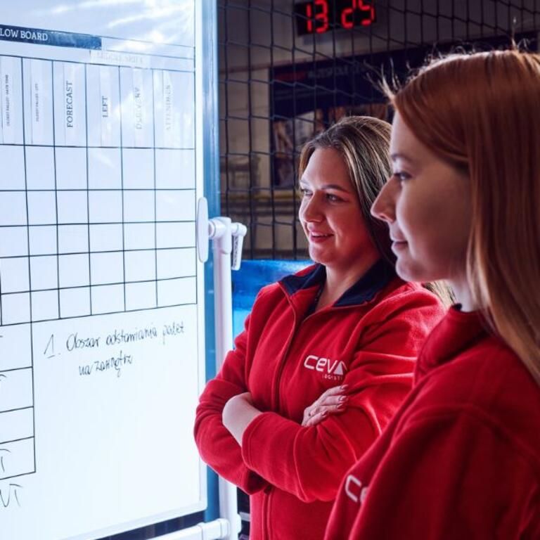 ceva team