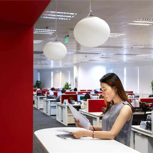 ceva-employee-it-team