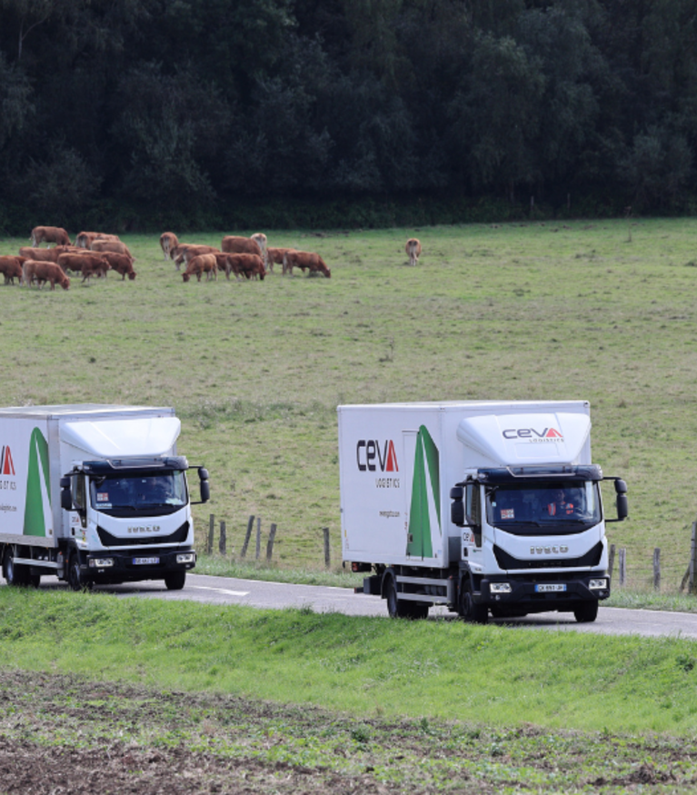 ceva_green_trucks
